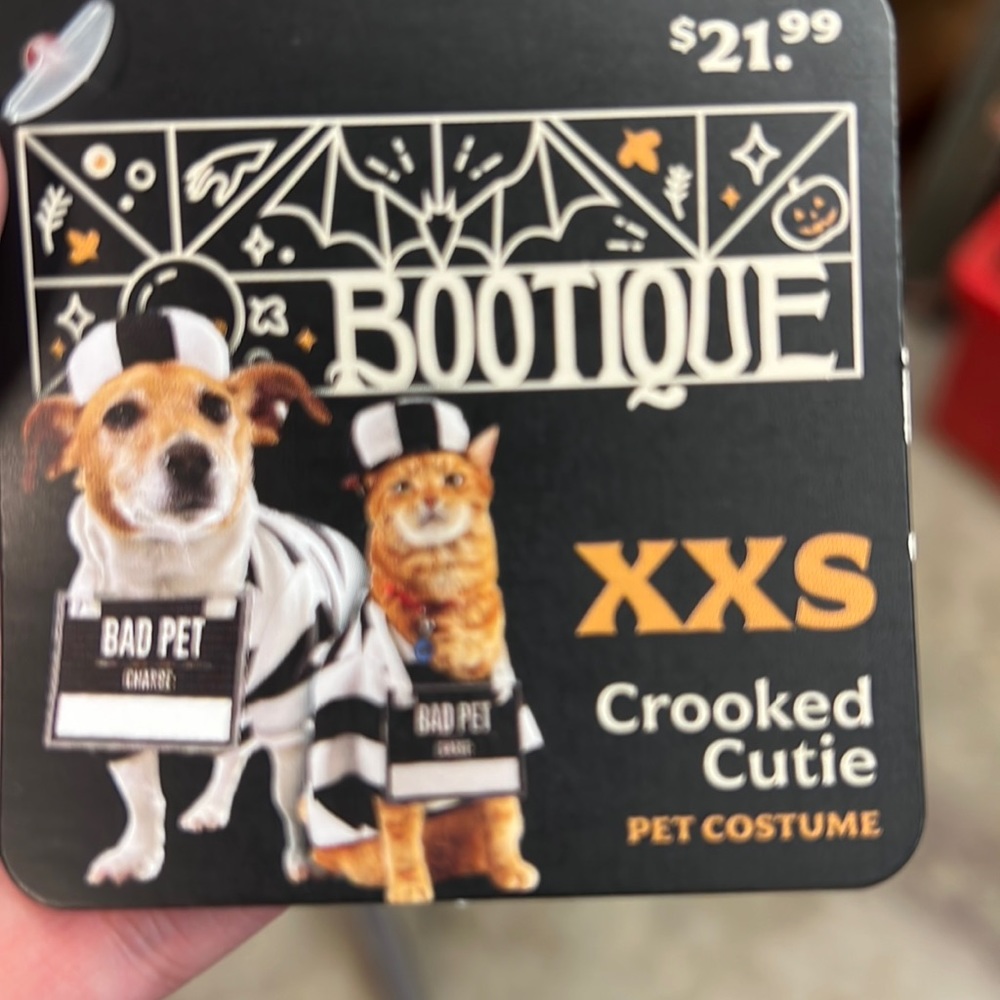 Crooked Cutie pet costume